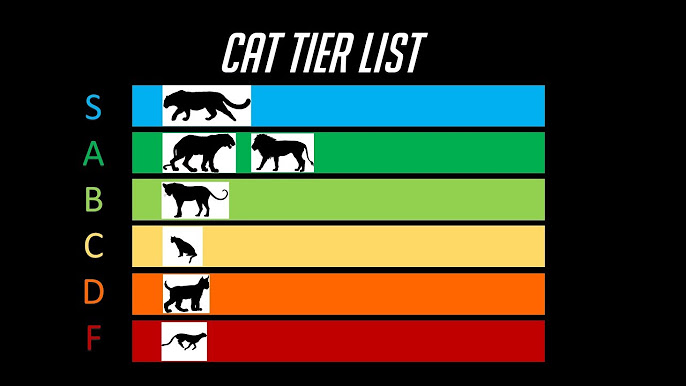 Tier List Template, Tier Lists