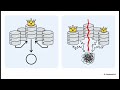 Distributed Data 35 - Consensus Algorithms