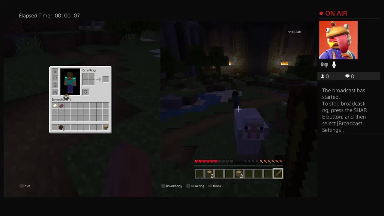 Playing minecrat with my brother Elijah