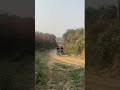 NS200⚡BS6 🔥RS200 BS4 #viral #music #shorts