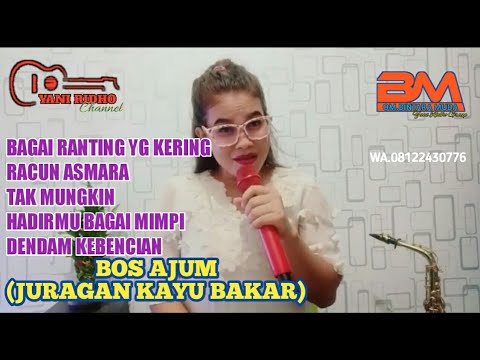 TEMBANG DANGDUT TERPOPULER PERMINTAAN BOS AJUM (BOS JURAGAN KAYU BAKAR) COVER YANI RIDHO