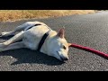 あなたはだんだん眠くなる