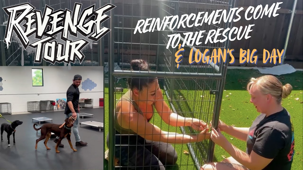 Rescue Helpers & Logan's Meet & Greet | RT Vlog8