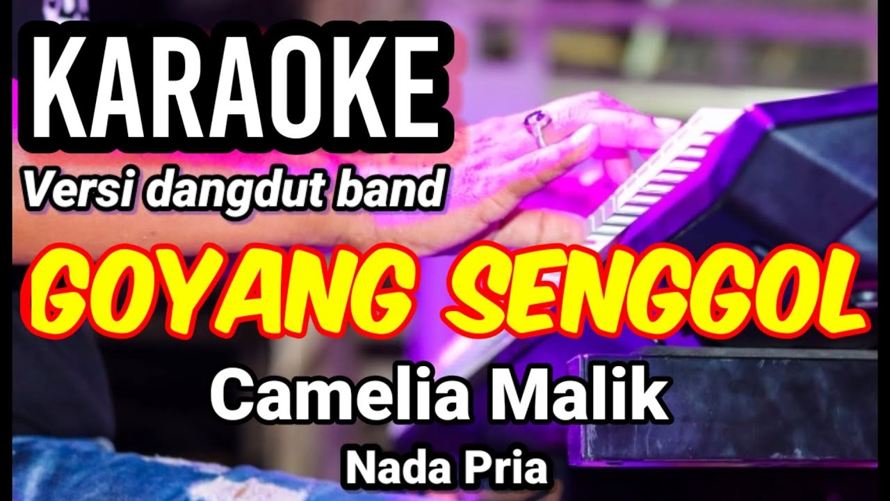 GOYANG SENGGOL - Camelia Malik | Karaoke dut band mix nada pria | Lirik