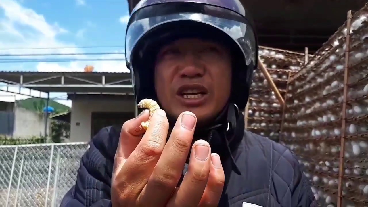 דאלאת 🇻🇳 איזי ריידר עם חואן | מסע על אופנועים בעקבות התרבות הויאטנמית🏍Dalat, Vietnam