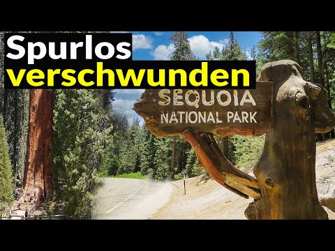 Video: Unterkunft im Sequoia-Nationalpark - Was Sie wissen müssen