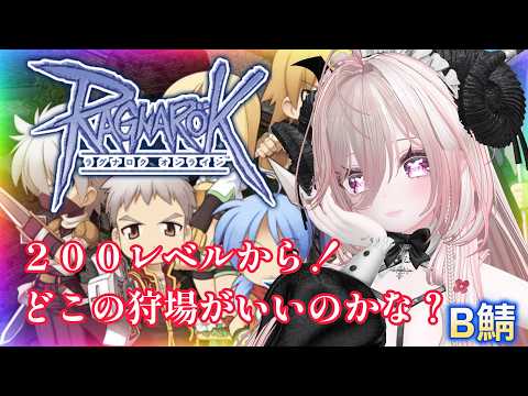【ラグナロクオンライン 】【個人勢】B鯖  #ゲーム配信 #初見 #ROの配信サムネイル