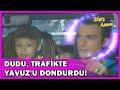 Dudu, Trafikte Yavuz'u Dondurdu! - Sihirli Annem Özel Klip