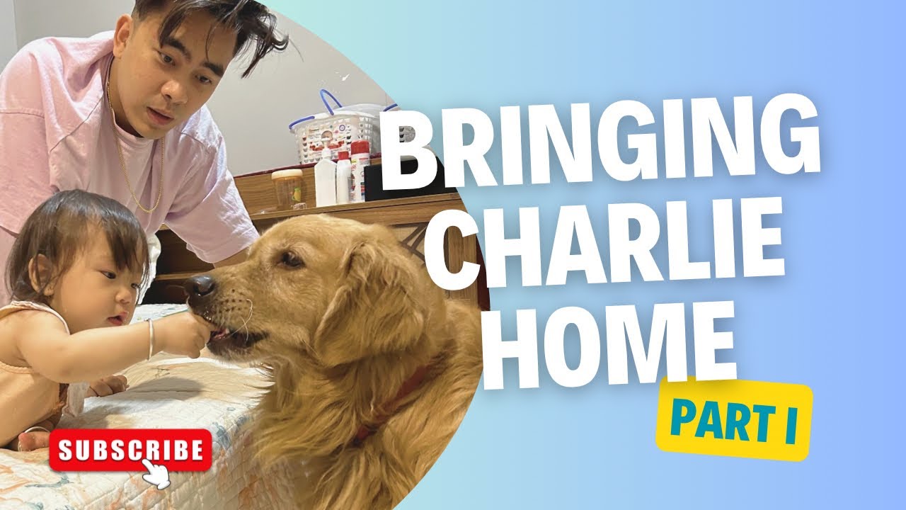 Bringing Charlie Home - part 1/ Reuniting with our dog after 1year🦮🤍