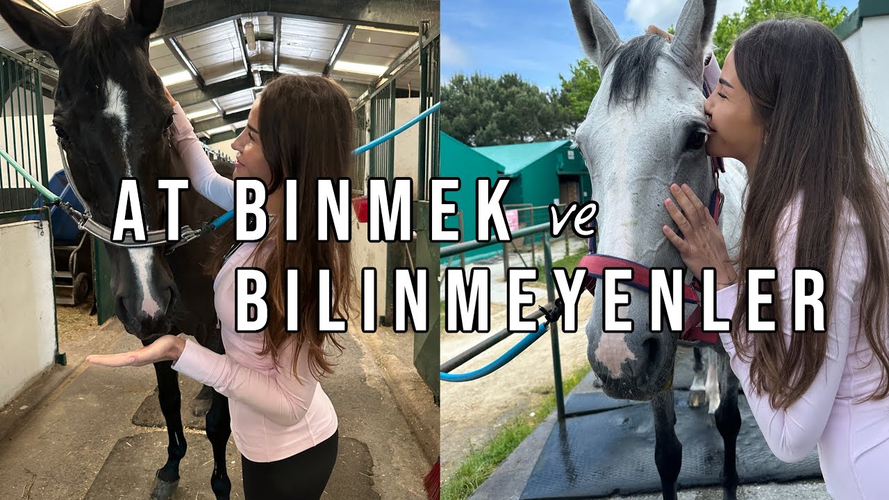 binicilik sporu ve merak edilenler