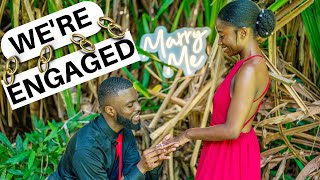 He Popped The Question And She Said Yes Our Engagement Vlog