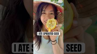 I Tried a Sprouted Lemon Seed and WOW!