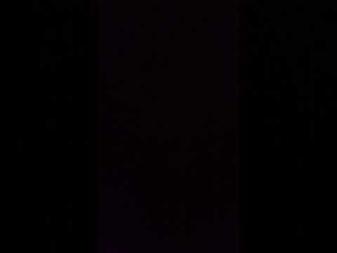13 جويلية 2026