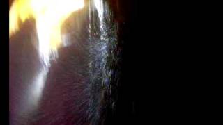 Waterfall In A Cave, Iran