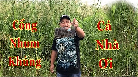 Đi thăm bẫy chuột, ai ngờ dính chuột cống nhum khủng | Đi Bụi Vlogs