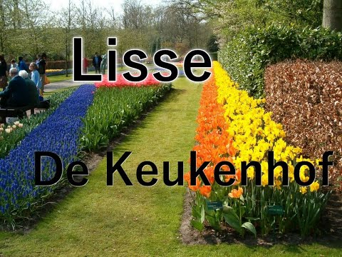 Lisse keukenhof  april 2005