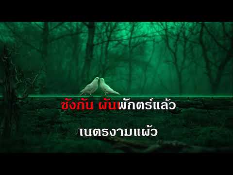 รักข้ามขอบฟ้า ชรินทร์ นันทนาคร ลูกกรุง ชาย golden song  karaoke คาราโอเกะ เพลงเอก ฝึกร้องเพลง
