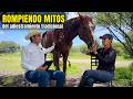 ⭐️Como entender el LENGUAJE DE LOS CABALLOS Edith Vega Horsay
