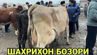 АНДИЖОН СИГИРЛАР БУГОЗЛАР 👍 НАРХЛАРИ БИЛАН ТАНИШАСИЗ ШАХРИХОН МОЛ БОЗОРИ10 февраля 2026 г.