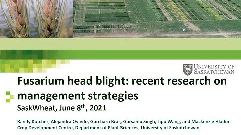 Dr. Randy Kutcher - Fusarium head blight: Recent research on management strategies