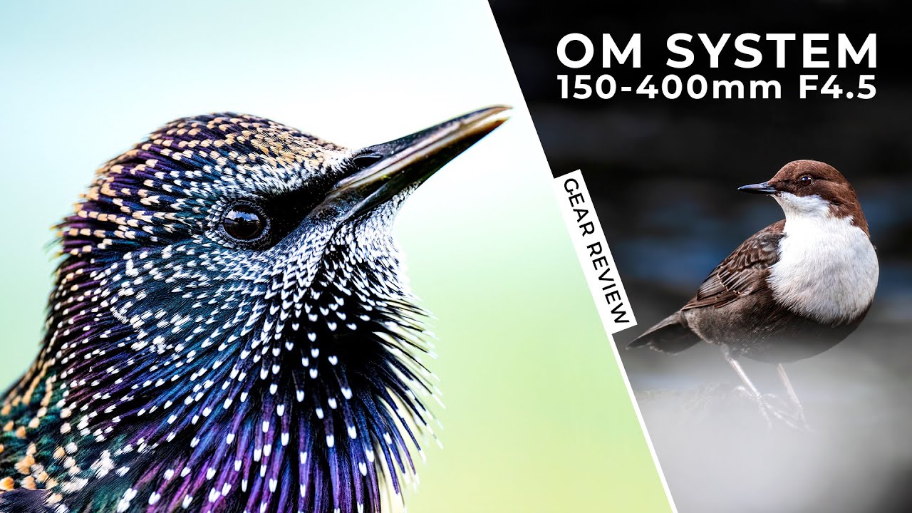 Review of the OM System 150-400mm f/4.5 | Gear Review | Hands-On Field Test