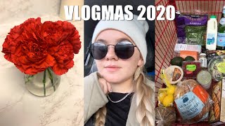 VLOGMAS DAY 13: trader joes haul, christmas drinks and cooking dinner