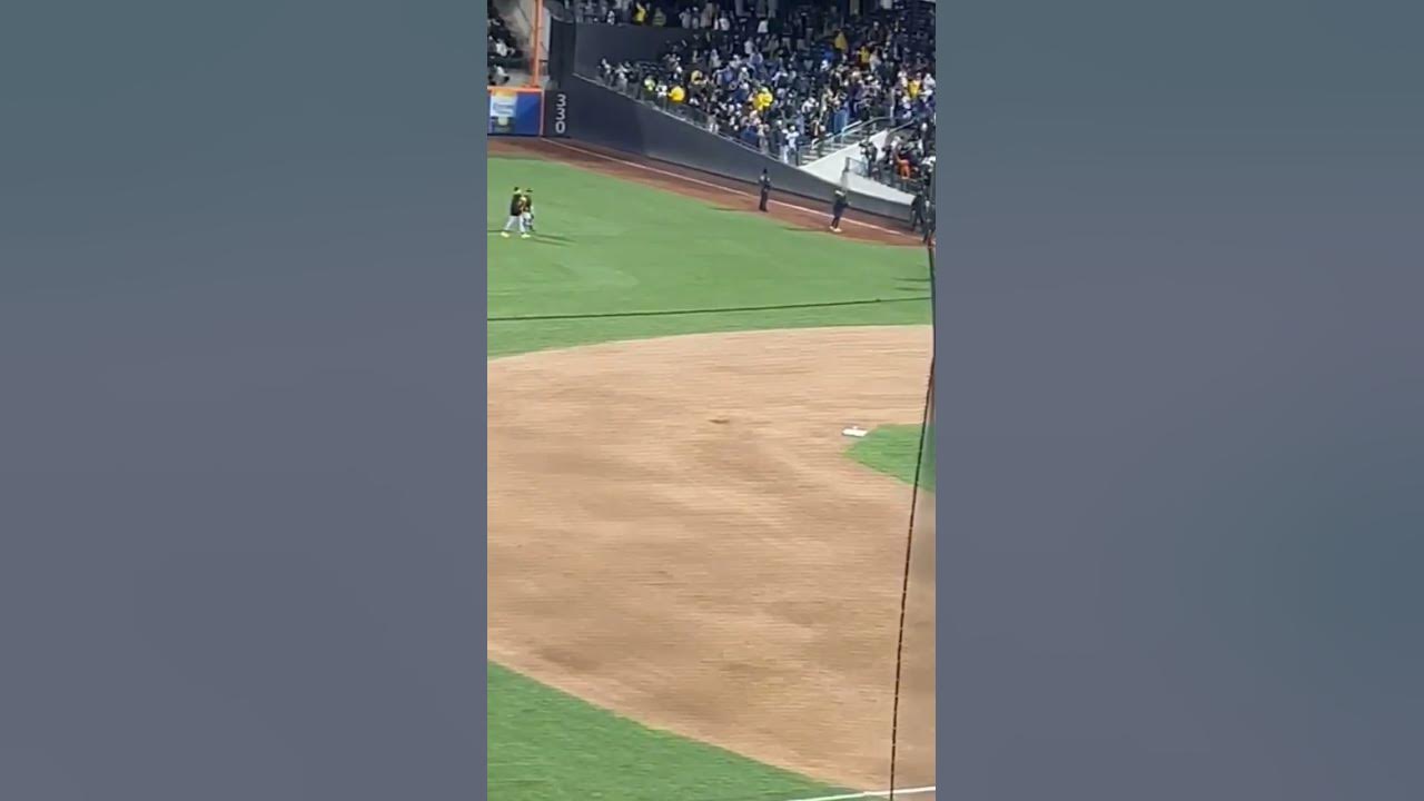 todo un éxito encuentro amistoso entre águila cibaeñas VS Tigres del