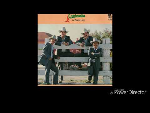 Lindo Cariñito - Cardenales de Nuevo León