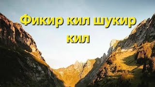 Абдуллох Домла Фикир кил шукир кил #abdulloh_domla_team #узбекистан #abdullohdomla @Vek2050