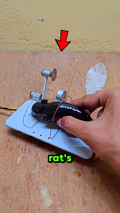 The Ultimate Rat Trap 😱