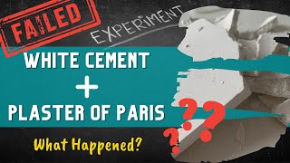 Cammy Testing Lab: White Cement mix Plaster of Paris | Failed Experiment