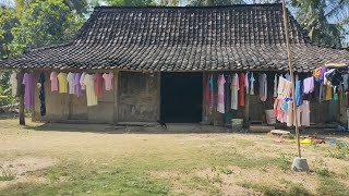 Gak Lihat Bakal Rugicepat Tonton Sebelum Dihapusngintip Kehidupan Suku Jawa Di Desa Terpencil