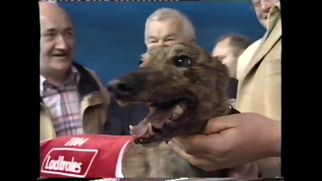 Greyhound View Episode 135 YouTube