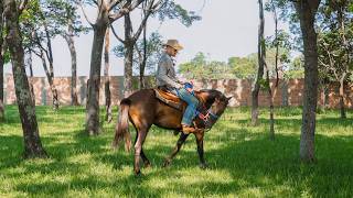 Using Trees to get a High-Energy Horse to Calm Down! | Training a Problem Horse [EP3]
