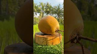 Crispy Outside, Soft Coconut Peeling screenshot 1