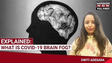 Explained: What Is Covid-19 Brain Fog?