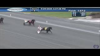 Slugger On Deck Race 1 Harrington Raceway