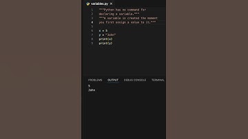 Python Variables  #learn #code #learnpython #learning #python #variablesinpython #learntocode2024