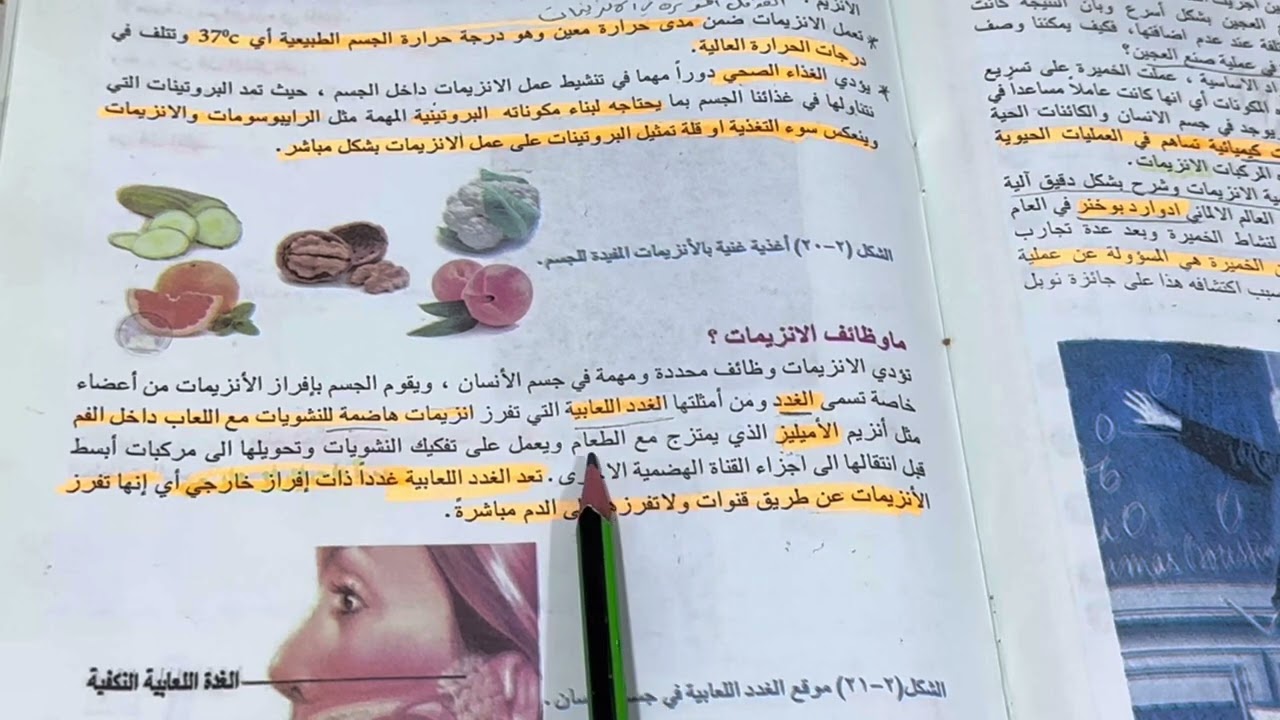 (الانزيمات ) تركيبها ووظائفها علوم احياء للصف الاول متوسط الجزء الثاني ص ٥٦ ، ست مريم