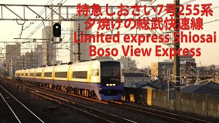 特急しおさい7号255系・夕焼けの総武快速線 Limited express "Shiosai" Boso View Express