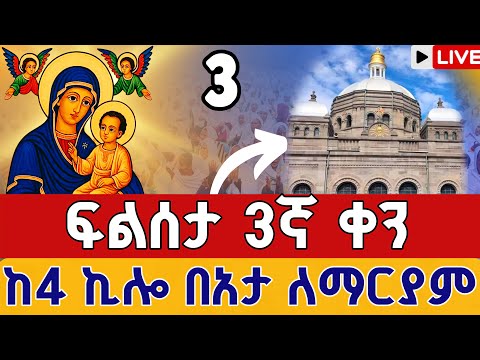 Live የዛሬው ልዩ ነው ነሐሴ 3 ቀጥታ ከታዕካ ነገሥት በአታ ለማርያም Eotc Live From 4 Kilo Beata Lemaryam Aug 9