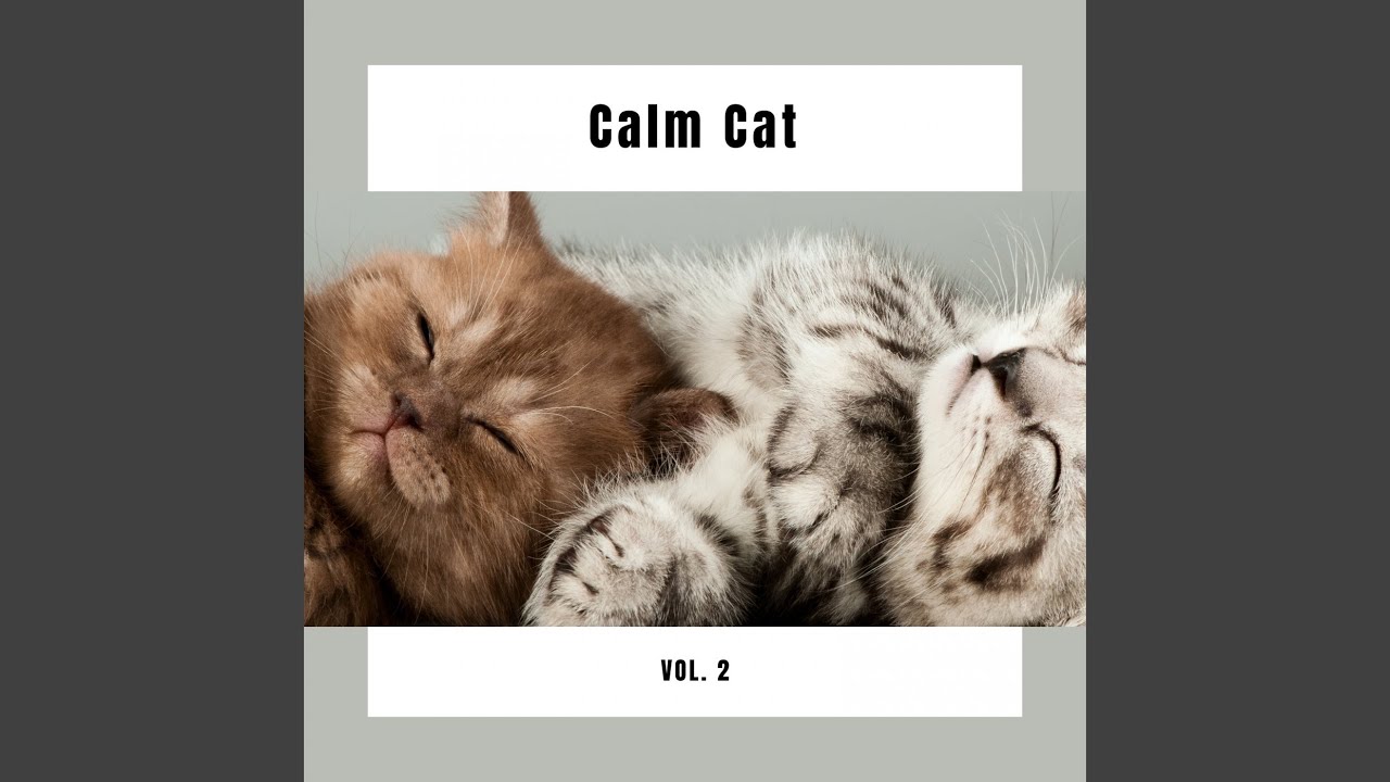 Subtle Cat Backgrounds Nature Subtle Cats Tune for Sweet Relax - YouTube
