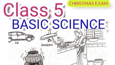 Christmas exam previous year Questions and Answers Class 5 Basic Science