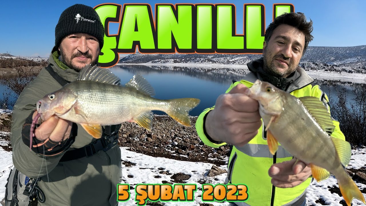 Perch Balık Avı.Uyuyan Balıkları Uyandırdık...