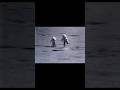 Sunita Williams return to earth