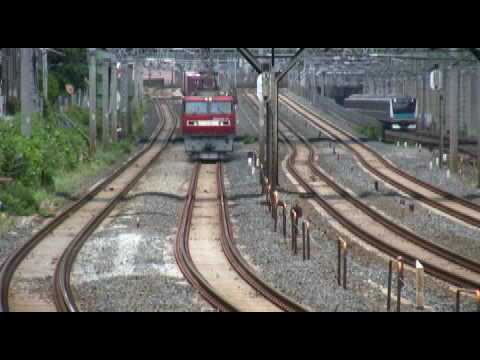東北貨物線　EH500貨物列車　旅客電車並走