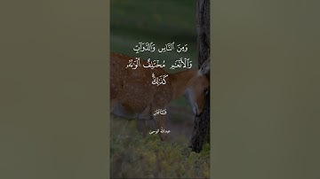 ﴿وَقَالُوا الْحَمْدُ لِلَّهِ الَّذِي أَذْهَبَ عَنَّا الْحَزَنَۖ ﴾ القارئ الشيخ عبدالله الموسى 🌿🧡.