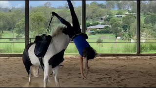 horse riding fails