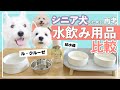 【細菌まみれ？】犬用水飲みボウル/給水器比較してみたよ。おすすめはこいつ！