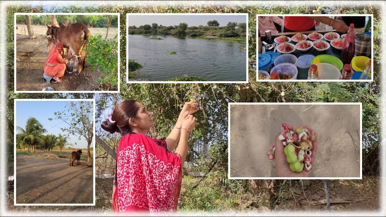 Summer and farm visit uffff...😏😏 First time karyu cow milking..🤭🤭😎😎